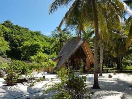 Eco Dive Resort Alycastre Маумере Екстериор снимка